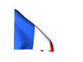 Drapeau France 120 gif